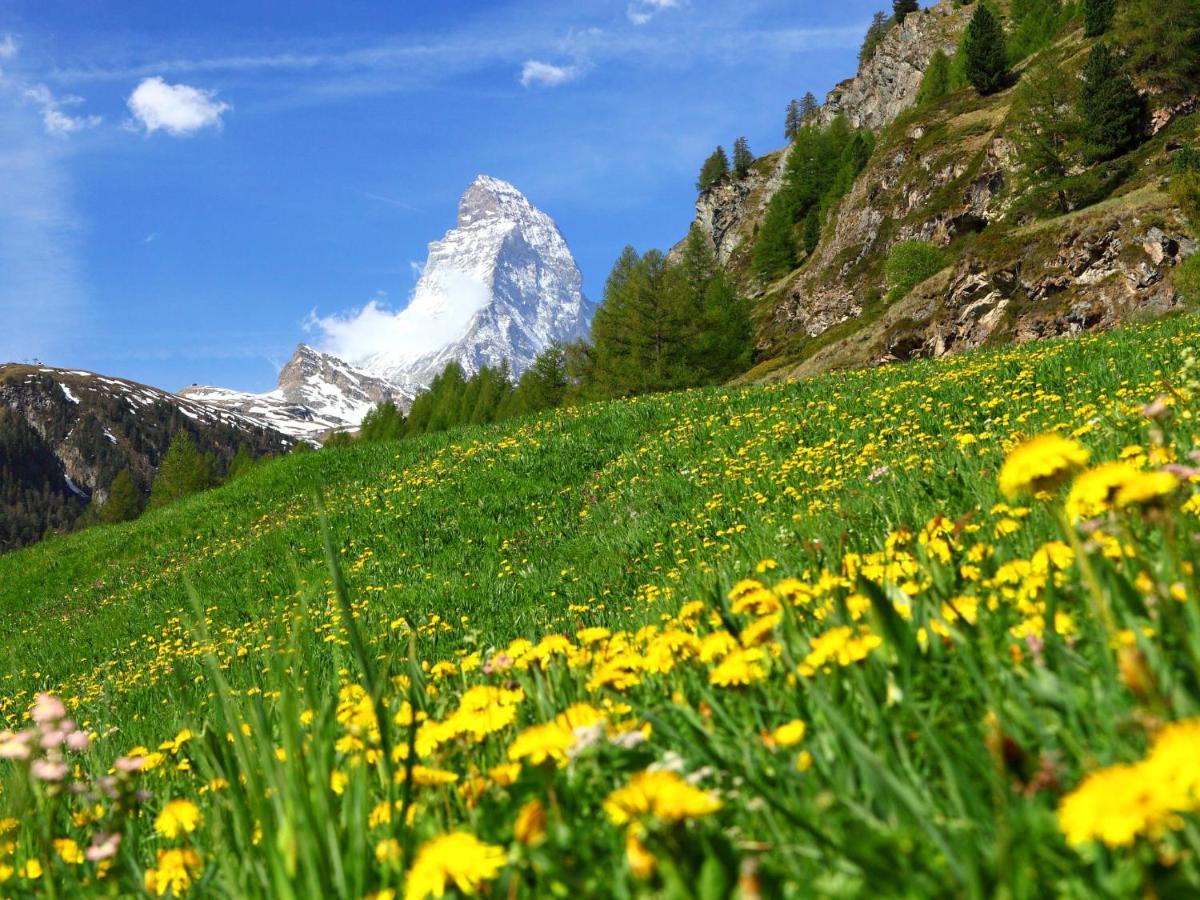 Apartment Sungold-1 By Interhome Zermatt Exterior foto